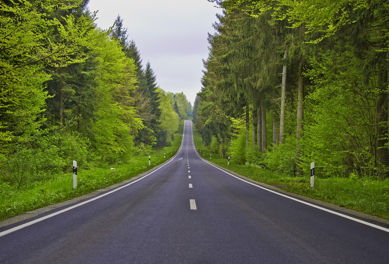 portfolio-02 path, road, valley, forest, infinite, just, silhouette, nature, avenue, distance, asphalt